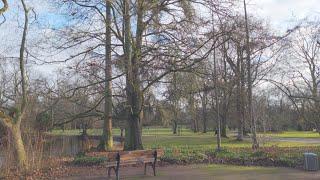 Volksgarten - MotionCam S20 FE 4K RAW HDR