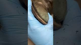 Quick fix Leather scratches on shoes #asmr