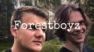 Hvorfor du er glad i skogen (Forestboyz)