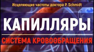 Исцеление сосудов и капилляров  Лечебные частоты для здоровья сердца и мозга