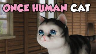 Once Human Extra Dimensional CAT Deviation