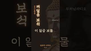깨달음의 보석 7가지 | (七覺支, 칠각지) | 부처님말씀 | 석가모니 부처님 | 불교명언