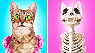 TINA - A DAY IN THE LIFE OF A CAT By Meow-some! Live