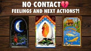  NO CONTACT THEIR TRUE FEELINGS AND NEXT ACTIONS | PICK A CARD TAROT READING 