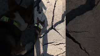 Some of the Flash flood damage in Caliente ,California   Aug 2023 @BeckysFunnyFarm