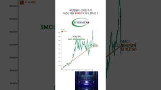 ️ 국민연금이 고른 슈퍼마이크로! 15년 간 매달 $1000씩 샀다면? 