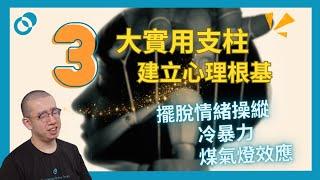 #PSY｜三大實用支柱建立心理根基！擺脫情緒操縱、冷暴力、煤氣燈效應｜#五分鐘心理學