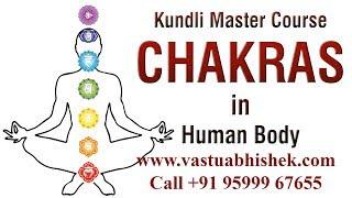 Chakra Balancing | How to Balance Chakras in Human Body | Learn in Kundli Master Course