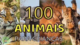 100 animais INCRÍVEIS para crianças - Conhecendo os animais reais!