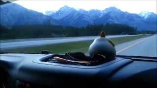 Ghostlyrich travels British columbia to Alberta