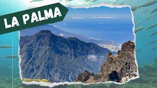 Inselurlaub La Palma - 15 Top Tipps für Euren Urlaub auf den Kanaren️