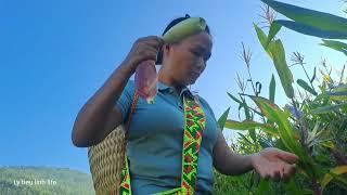 Harvest corn and long beans to sell, live with the boy