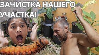 Как начинает преображаться место вокруг дома! Уборка и посадка растений.