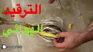 الترقيد الهوائي