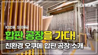 합판 만드는 과정, 친환경 합판 제조 공장을 가다! KS인증 친환경 오쿠메 합판의 모든 것! | Making plywood