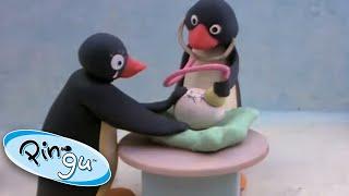 Pinga is Born! | Pingu Official | 1 Hour | Cartoons for Kids