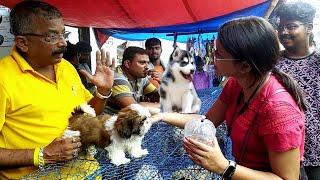 RECENT DOG PUPPY PRICE  UPDATE | GALLIF STREET DOG MARKET KOLKATA | CHEAEST PRICE| VISIT 13 NOV 2022