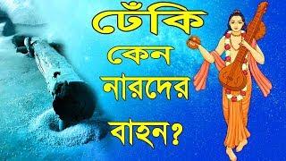 ঢেঁকি কেন নারদের বাহন ? নারদ কেন কলহসংগঠক স্বভাবের?  Why Dheki is the Vehicle of Narada Muni?