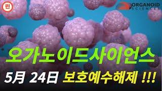 [오가노이드사이언스 분석] 걸림돌이 있을 때 대처하는 방법은? #오가노이드사이언스