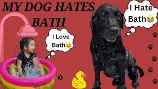 My Dog Hates Bath #doglover #trending