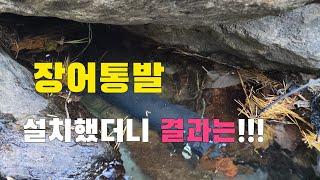 통발낚시 계곡에 장어통발 설치했더니 결과는!?  잡은 고기 술안주 먹어보자