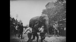 New York City In The 1880s: Amazing Historical Photos Capture its Street Scenes And Everyday Life