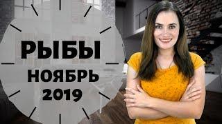 РЫБЫ. Гороскоп на НОЯБРЬ 2019 | Алла ВИШНЕВЕЦКАЯ