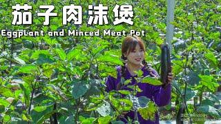 Axia's Eggplant and Minced Meat Pot 【叫我阿霞】