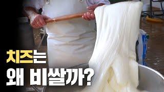 치즈가 비싼이유 알고계세요?