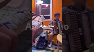 Ajde Jano snippet. #serbianmusic #balkanmusic #accordion #narodnamuzika