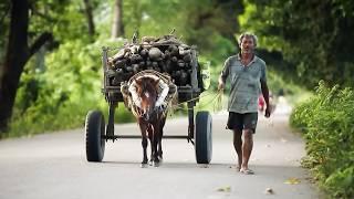 Inde : vertige au bout du monde | Les voyages les plus meurtriers