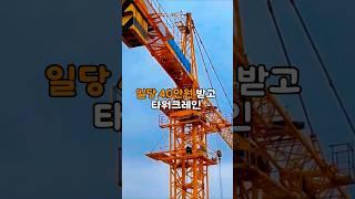 일당 40만원 받고 타워크레인 작업 했다가 충격적인 일을 겪었습니다
