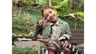 Stella Rose Knows - Ep.9 : American Alligator