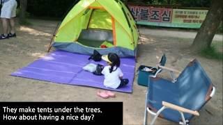 Yongin Natural Recreation Forest /Free Camping, Children's Playground, Zipline in Nature