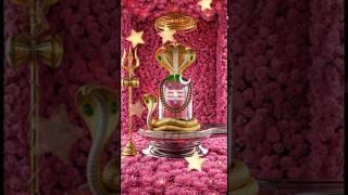 Shiva Shiva Shankara #song #devotional#bhakti#harharmahadev #ytshorts #ytstudioes #trending #