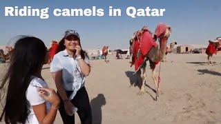 Dear Sister Ep 3, Riding Camels, Parks ️Doha, Qatar | EXPANSIONAIRE