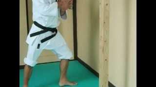 Okinawa Ryuibukan Academy -Legs conditioning