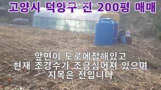 고양시 덕양구 전 200평  주말농장 가능지역 매매가 2억((매매완료))