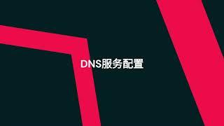 Windows server DNS服务配置