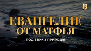 Евангелие от Матфея под звуки природы. Современный перевод Библии #biblevision