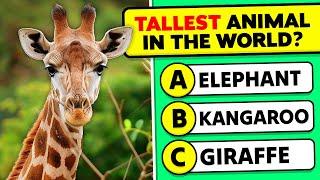 General Knowledge Questions About Animals!  Animals Knowledge Trivia Questions and Answers