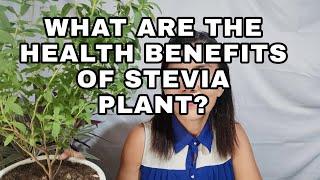 WHAT ARE THE HEALTH BENEFITS OF STEVIA PLANT?