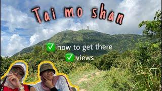 Tai mo shan country park hike | the highest peak in hongkong 