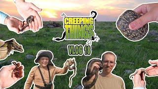 Creeping Things Vlog 18!