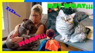 RELAX MOMENTS|FUNNY VIDEOS 2021