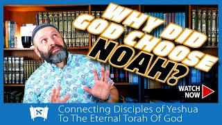 Noach | Leaving A Legacy | Messianic Insights