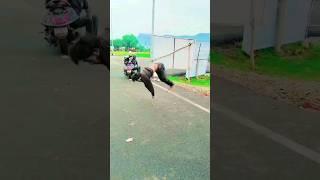 #shorts #flip #viralshort #allrounder boy maharaj #newvideo