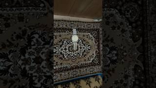 Дома у КУКАМАЙ #чувашия