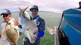 Catching big snapper on handline - going old school in the little Osprey 450SC