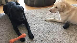 Olive and Mabel. Episode 2 - Game of Bones